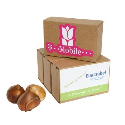 Kraft box medium flower bulbs - Image 2